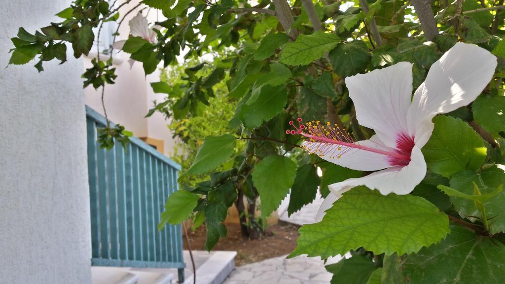 Amazones Village Suites Hersonissos  Exterior photo